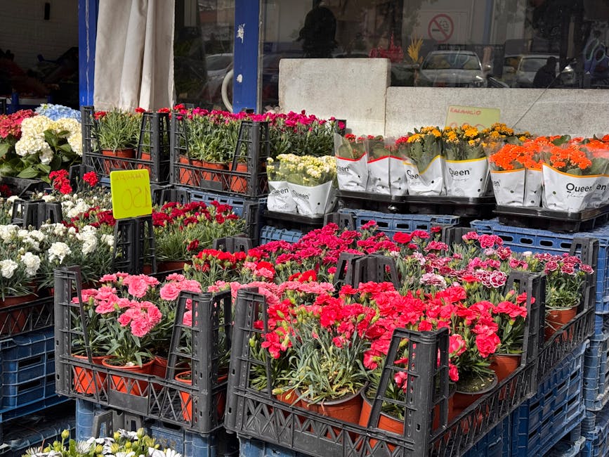 A display of vibrant potted flowers arranged in black plastic crates outside a flower shop, featuring pink, red, white, orange, and yellow blooms. The flowers include carnations and other mixed variet
